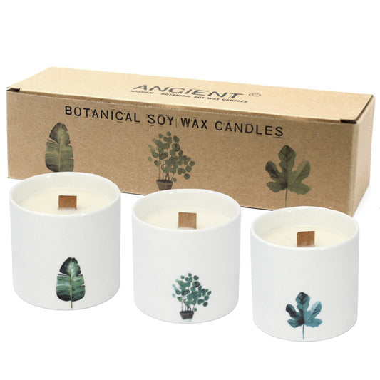 Large Botanical Candles - Victorian Peóny