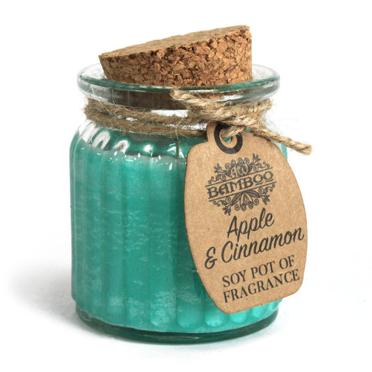 Apple &amp; Cinnamon Soy Pot of Fragrance Candle