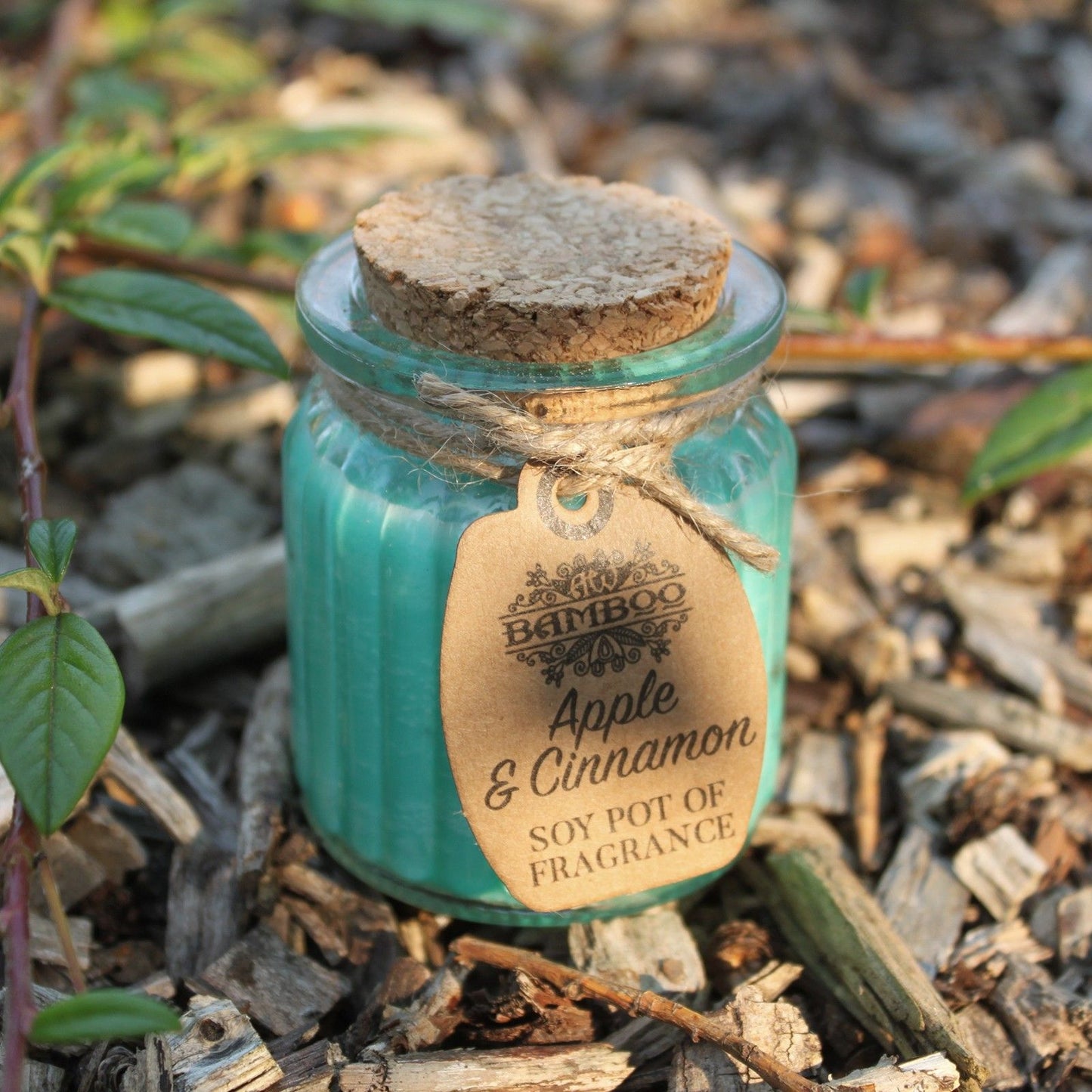 Apple &amp; Cinnamon Soy Pot of Fragrance Candle