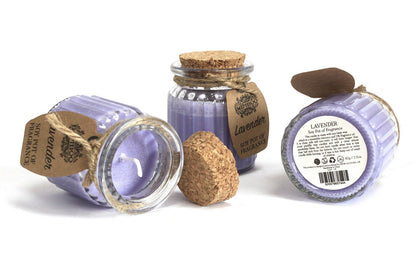 Apple &amp; Cinnamon Soy Pot of Fragrance Candle
