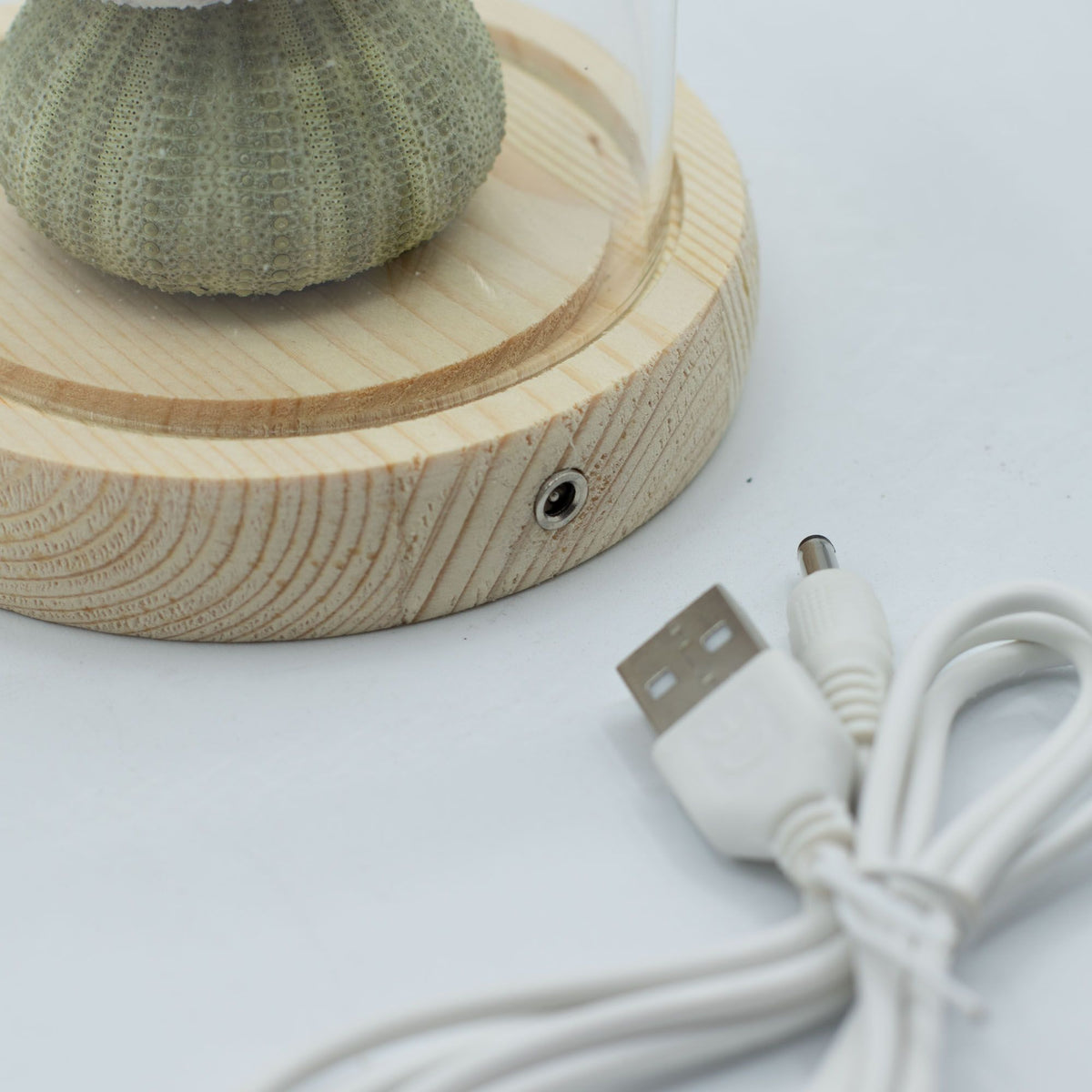 Svetelná dekorácia pod sklom – Morský motív · USB