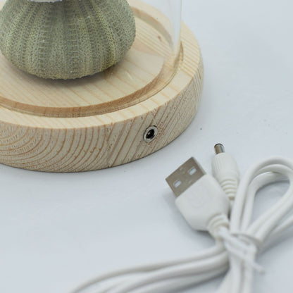Svetelná dekorácia pod sklom – Morský motív · USB
